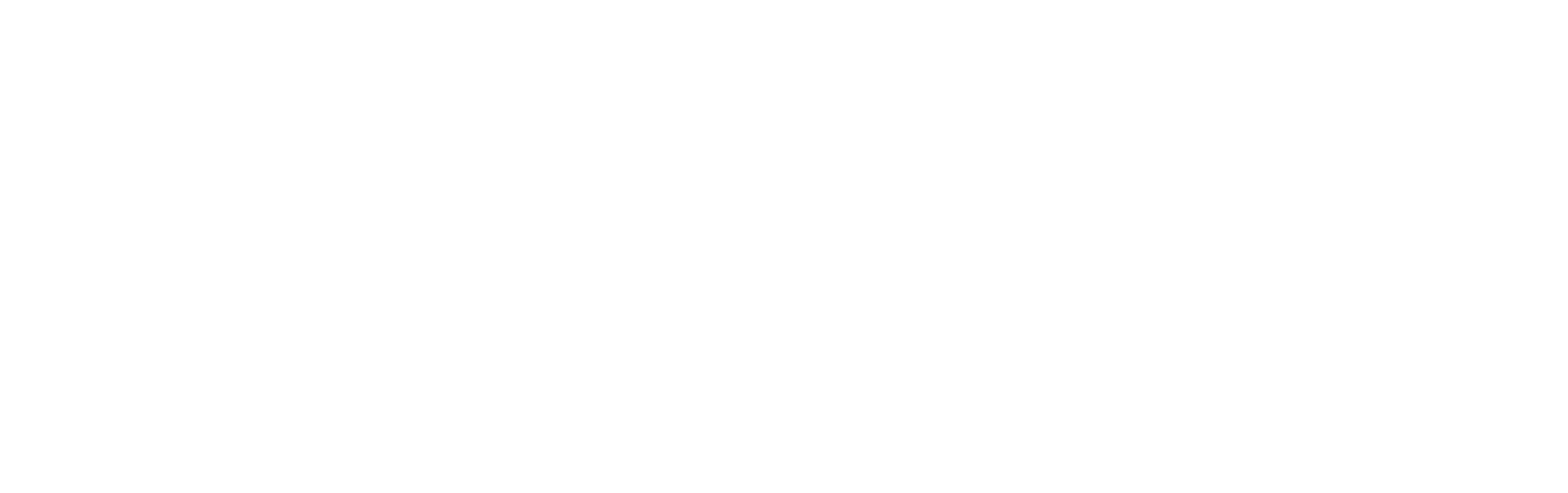 DS Realty
